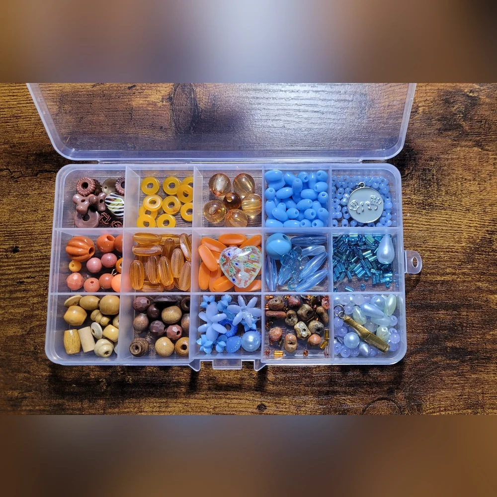 Clear Bead Organizer with Blue and Orange Beads